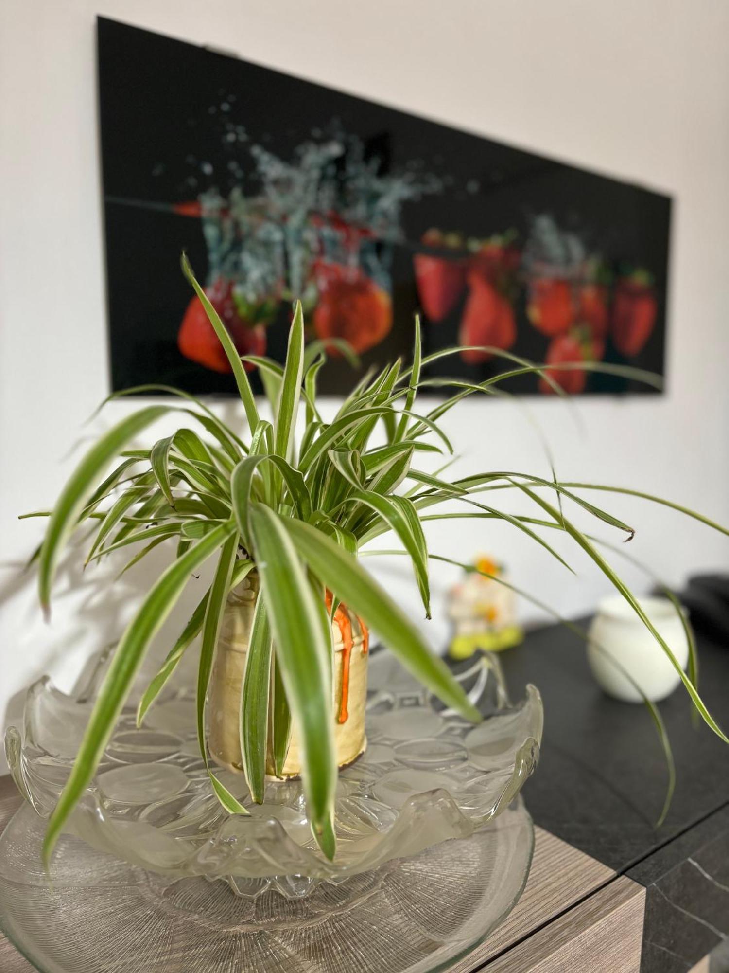 Vivi Aguilera Apartament Bolonya Dış mekan fotoğraf